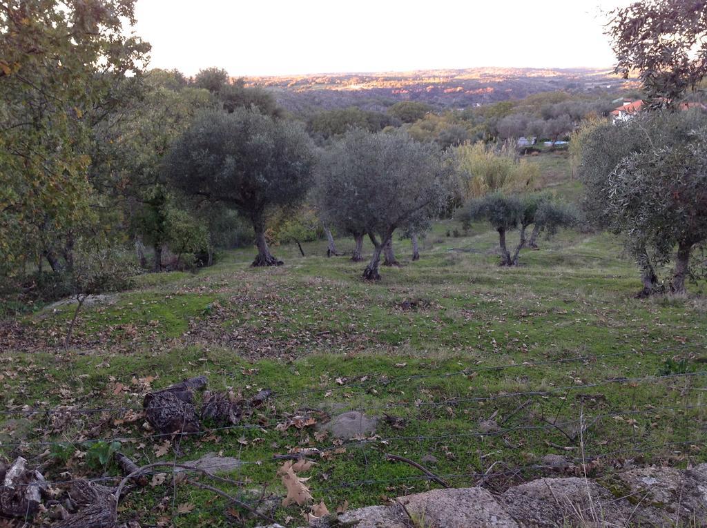 Refugio Da Maceira Villa Marvão Oda fotoğraf