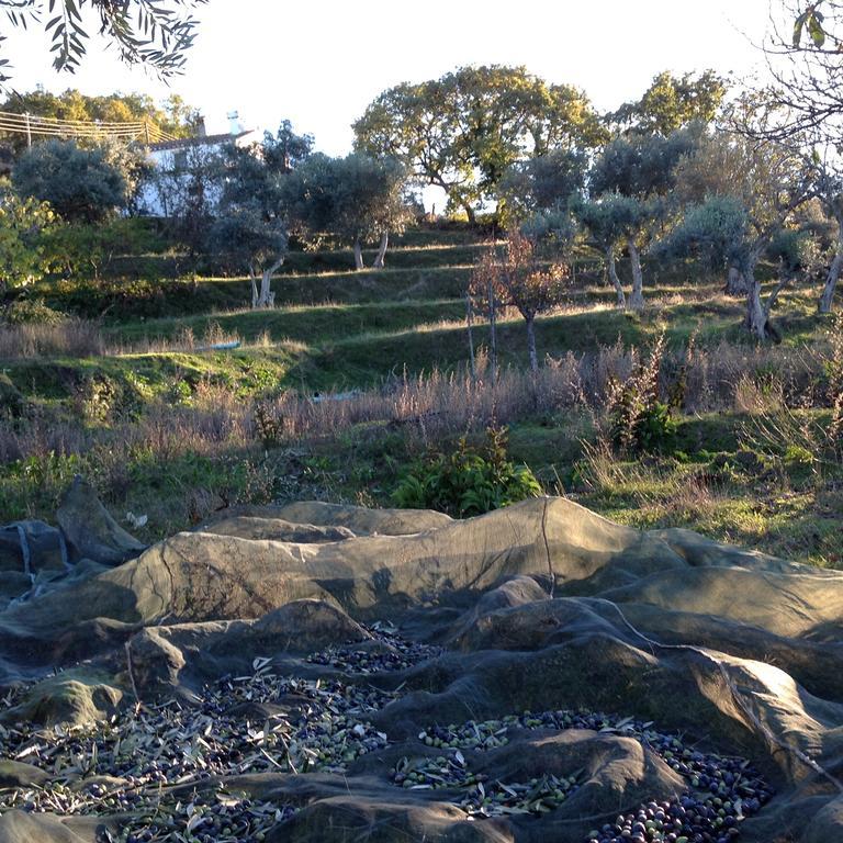 Refugio Da Maceira Villa Marvão Oda fotoğraf