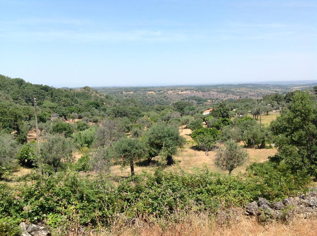 Refugio Da Maceira Villa Marvão Dış mekan fotoğraf